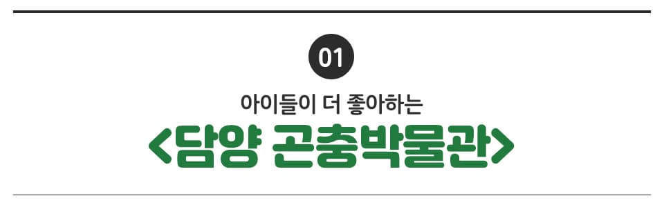 01 아이들이 더 좋아하는 <담양 곤충박물관>