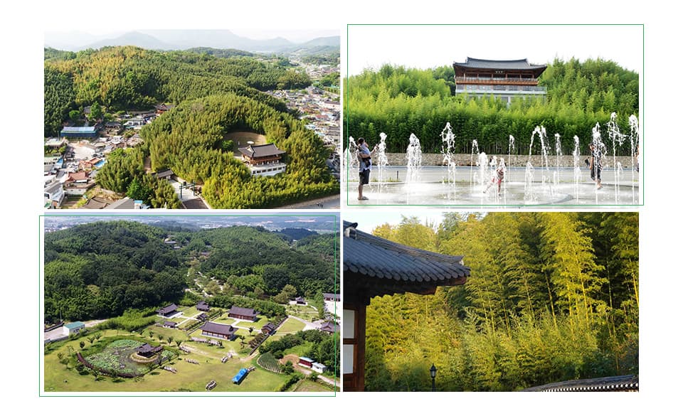 시계방향대로 죽녹원 내외부 모습