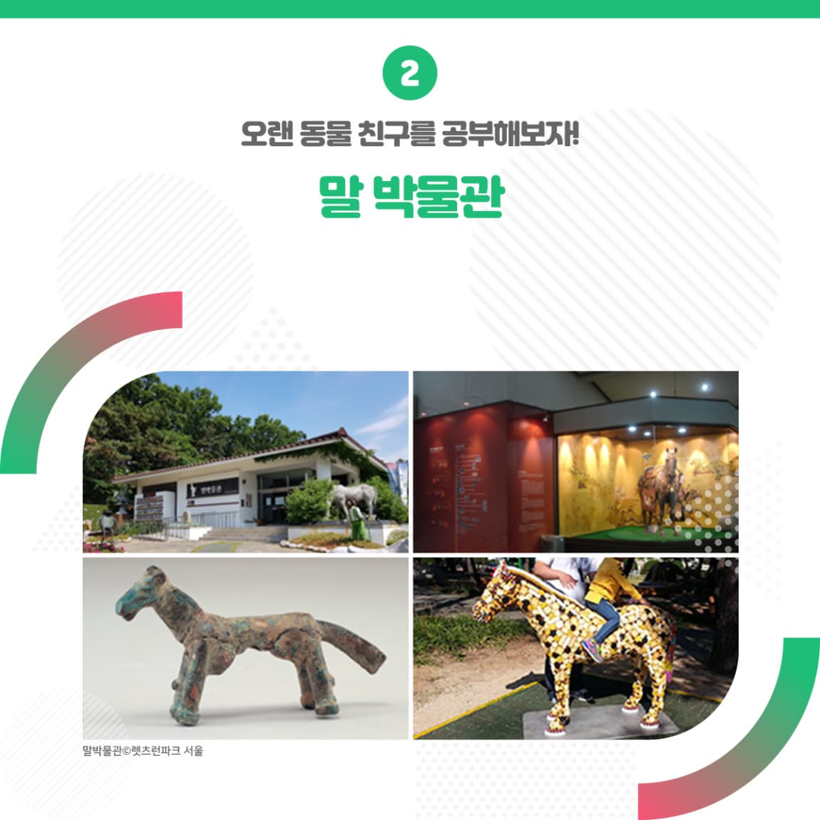 2 오랜 동물 친구를 공부해보자! <말 박물관> ㅣ 말박물관 렛츠런파크 서울