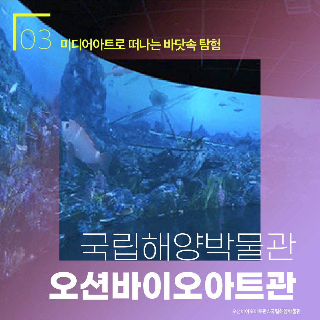 03 미디어아트로 떠나는 바닷속 탐험 국립해양박물관 오션바이오아트관 오션바이오아트관 ⓒ국립해양박물관