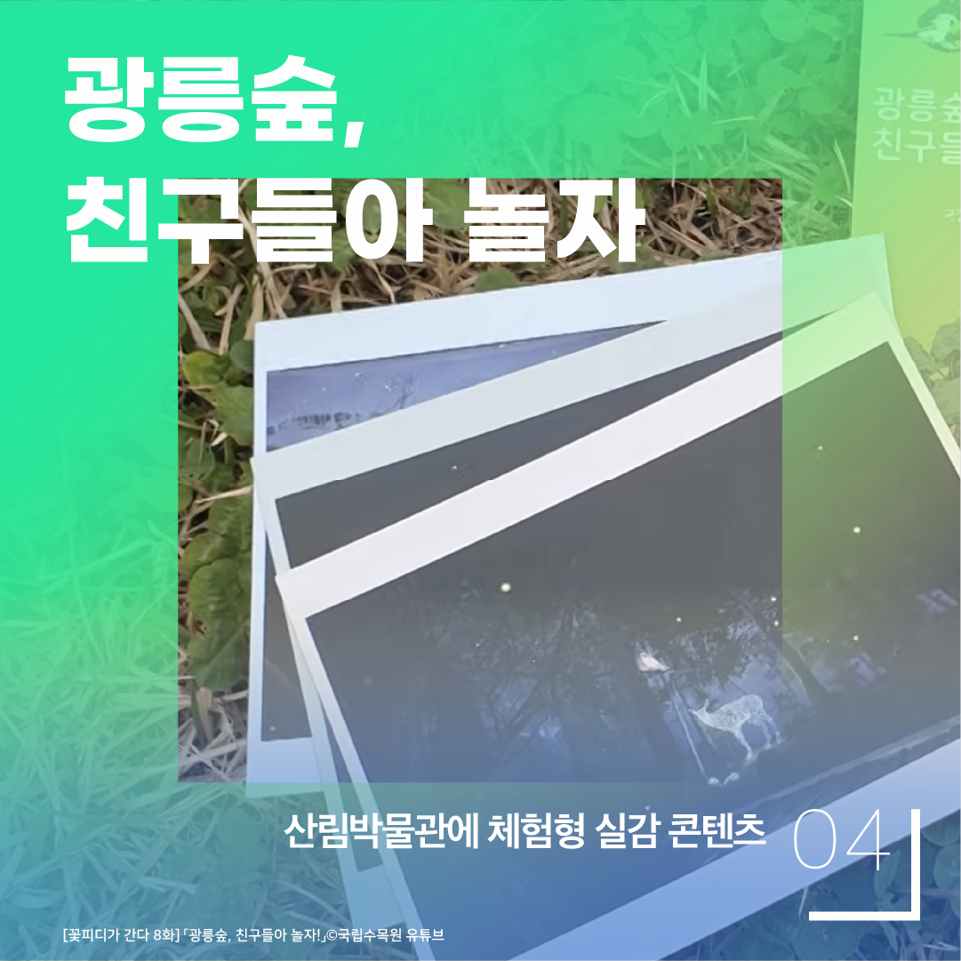 04 산림박물관에 체험형 실감 콘텐츠 광릉숲, 친구들아 놀자 [꽃피디가 간다 8화] 광릉숲, 친구들아 놀자!ⓒ광릉수목원 유튜브