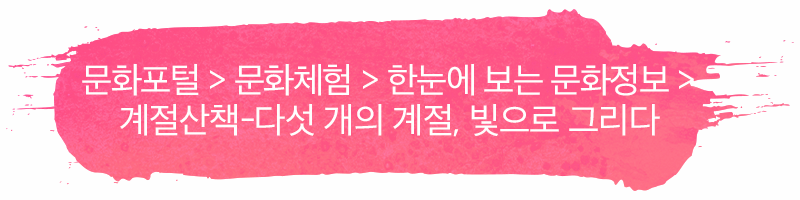 문화포털 > 문화체험 > 한눈에 보는 문화정보 >？계절산책-다섯 개의 계절, 빛으로 그리다