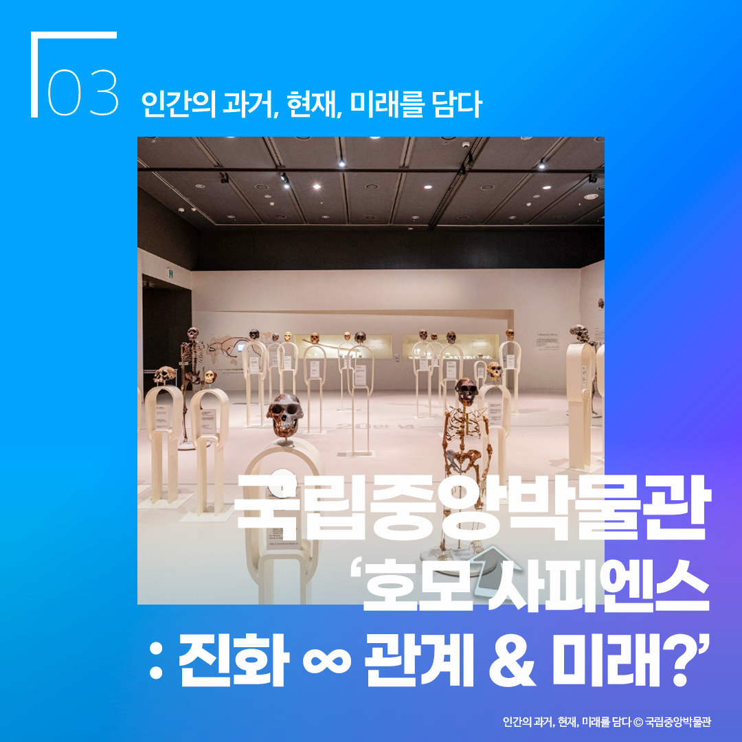 국립중앙박물관 ‘호모 사피엔스 : 진화∞ 관계& 미래?’  - 인간의 과거, 현재, 미래를 담다