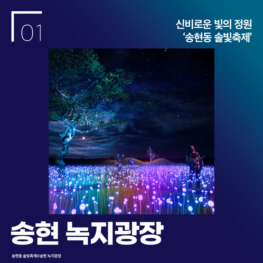 신비로운 빛의 정원 송현동 솔빛축제 송현 녹지광장