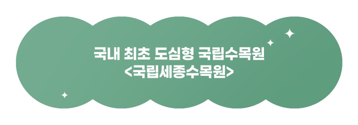 https://www.sjna.or.kr/intro