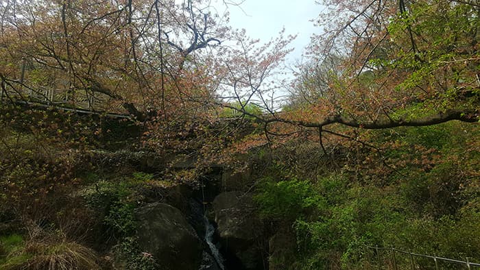 돌 사이 흐르는 물줄기 소리 ⓒ 문화포털 기자단 김봄