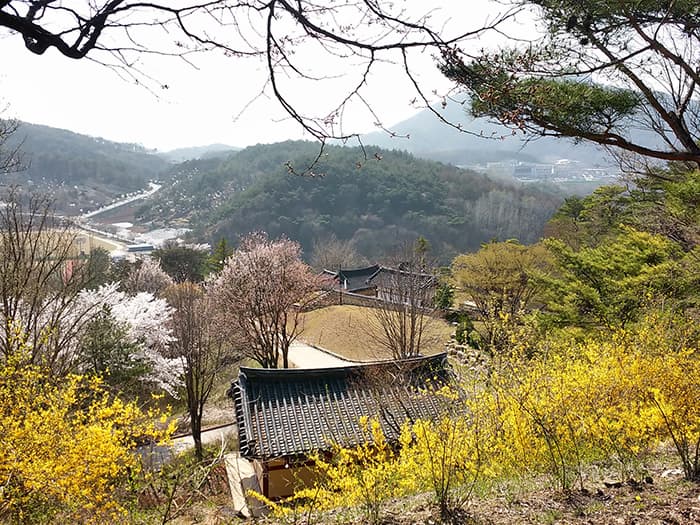 청풍문화재단지에서 바라 본 풍경 ⓒ 문화포털 기자단 김현진