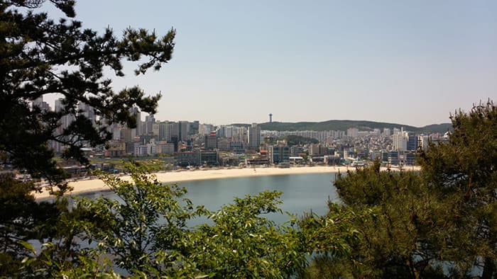 해안 산책로에서 바라본 일산해수욕장 ⓒ 문화포털 기자단 김현진