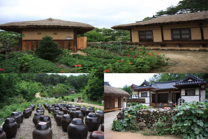 무섬마을 ⓒ 문화포털 기자단 김현진 