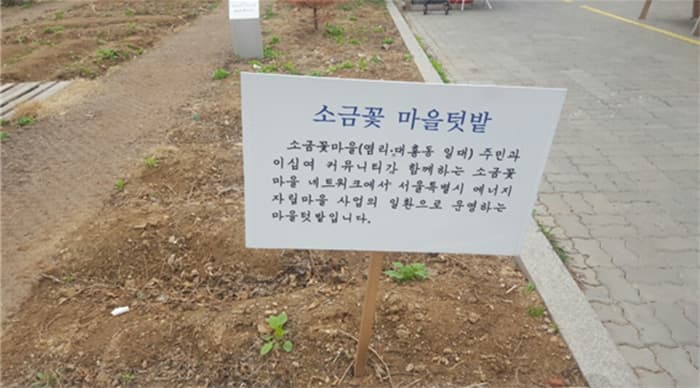소금꽃 마을 텃밭 ⓒ 문화기자 박예슬