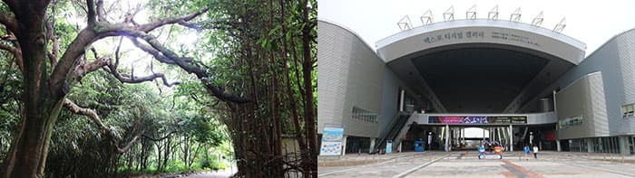 오동도(왼쪽) / 엑스포 공원(오른쪽) ⓒ 문화포털 기자단 장은진 