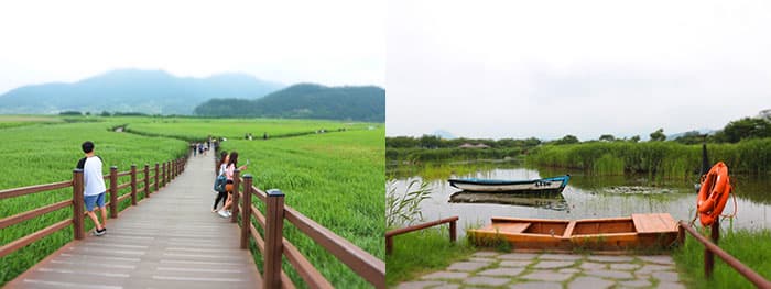 순천만 습지 ⓒ 문화포털 기자단 장은진