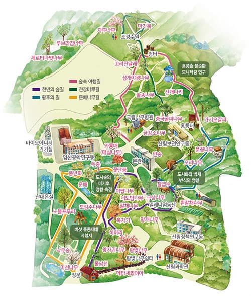 홍릉수목원 지도 ⓒ 국립산림과학원  