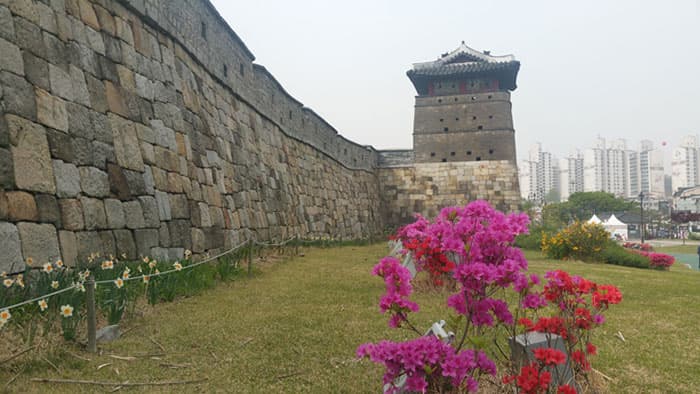 수원화성 서북공심돈 ⓒ 문화포털 기자단 한정규 수원화성 서북공심돈 ⓒ 문화포털 기자단 한정규