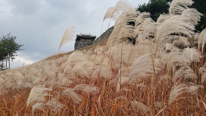 수원화성 가을, 용연에서 바라본 동북포루 ⓒ 문화포털 기자단 한정규 수원화성 가을, 용연에서 바라본 동북포루 ⓒ 문화포털 기자단 한정규