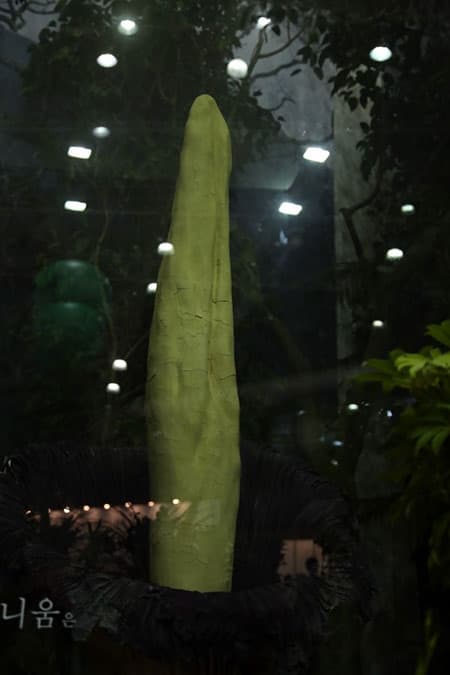 Mhhj050601_08.jpg