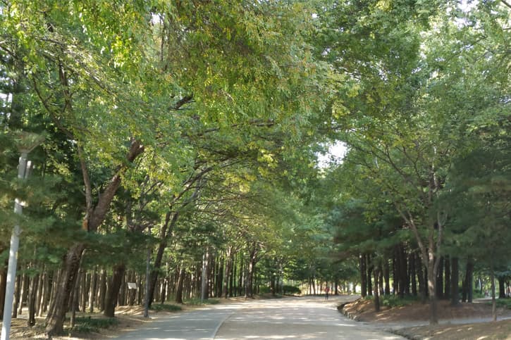 뚝섬의 자리에 생긴 서울숲
