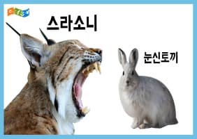 [교육/체험] 너와 나의 연결고리(먹이그물과 먹이사슬)