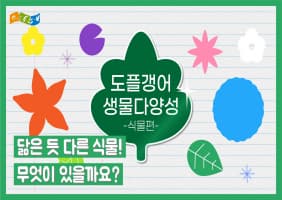 [교육/체험] 도플갱어 생물다양성 식물편