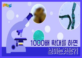 [교육/체험] 현미경으로 보는 1/1000의 세상