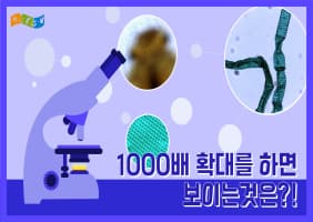 [교육/체험] 너희들 손 얼마나 더러운지 아뉘, Hoxy?