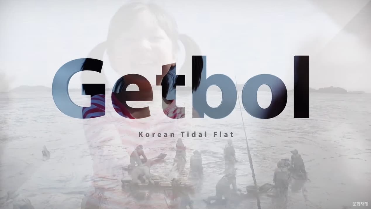 우리나라 15번째 세계유산 - 한국의 갯벌