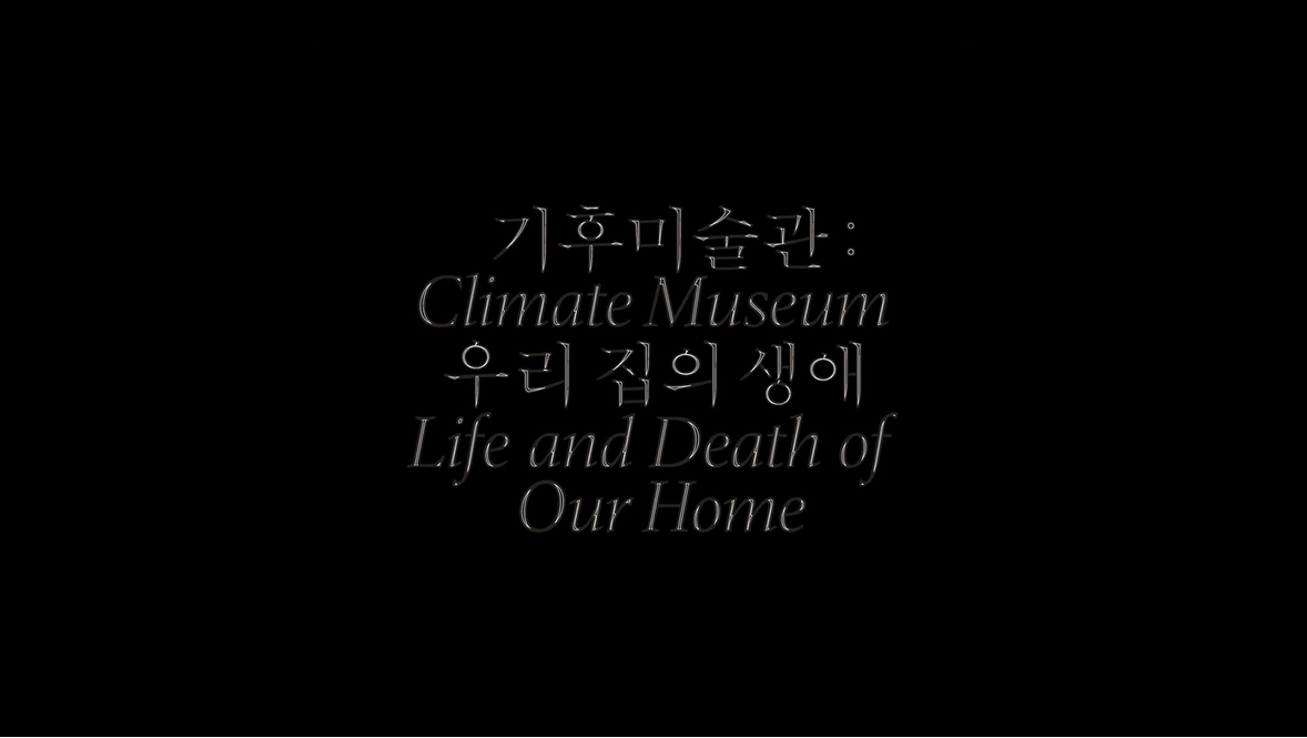 Seoul Museum of Art l 《기후미술관: 우리 집의 생애》 - 침엽수 이야기 3 본문 내용 참조