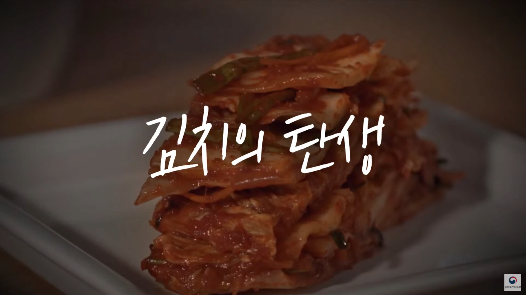 김치는 한국 전통음식입니다. 김치의 탄생 | K푸드의 진화 ep.1 본문 내용 참조