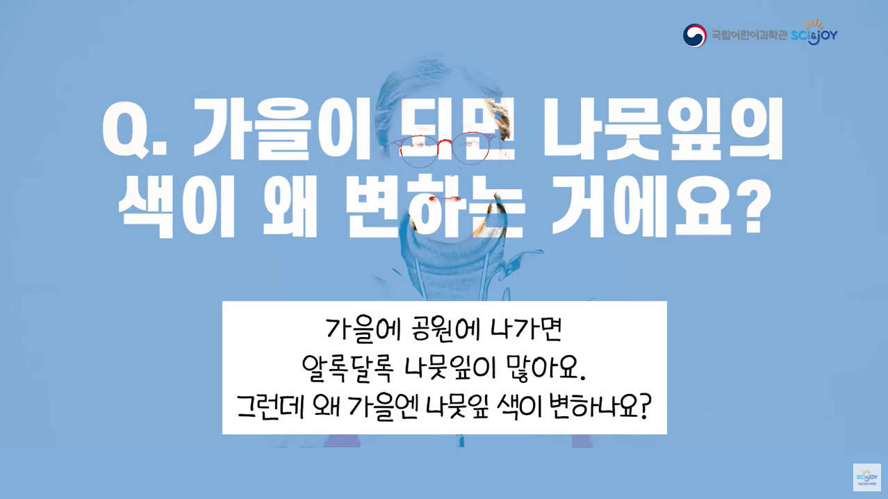 [교육/체험] [어린이의 질문 20] 가을이 되면 나뭇잎의 색이 왜 변하는 거에요?