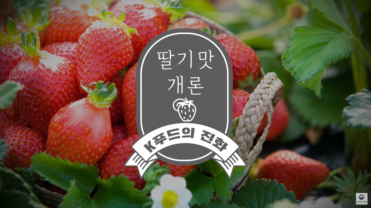 딸기는 언제가 제철일까? 딸기맛개론 | K푸드의 진화 ep.3