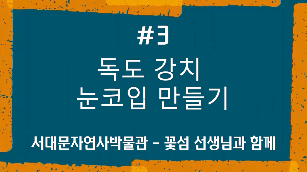 눈코입 만들기 | 독도 강치 컵받침 만들기