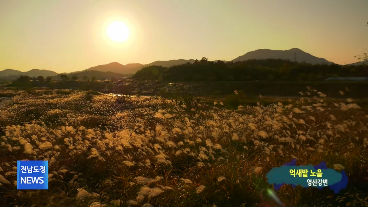 억새밭 노을 본문 내용 참조