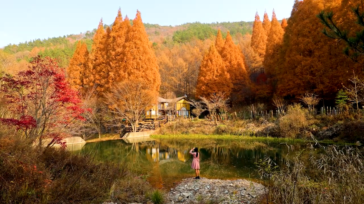 가을 사진 찍기 좋은 곳 충남 여행지 추천!! 