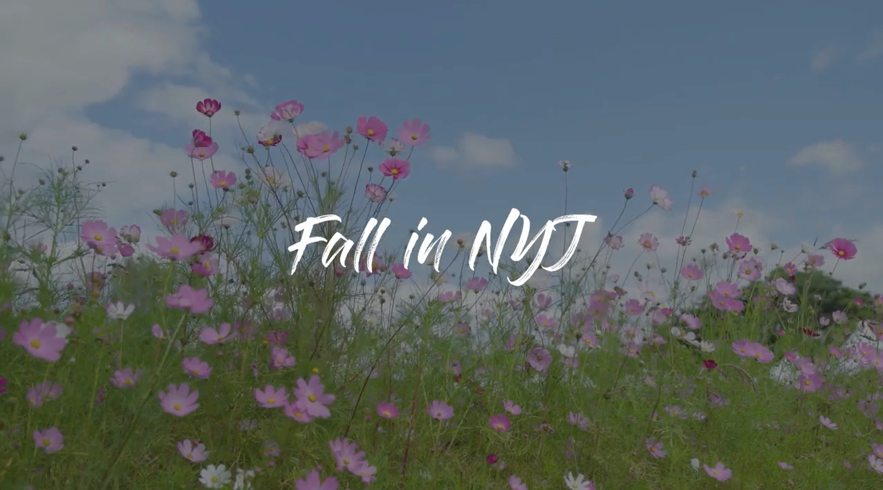 Fall in NYJ