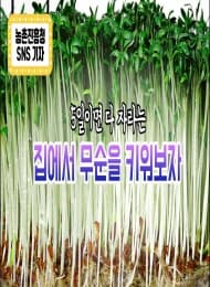 무순,집에서 키워볼까?