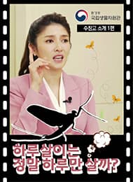 보물창고(수장고탐방2) 
