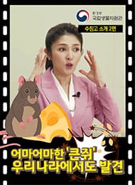보물창고(수장고탐방1)