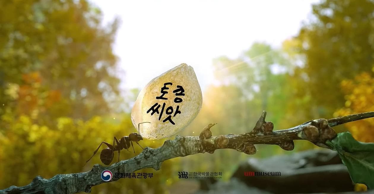 우주의 질서: 토종씨앗
