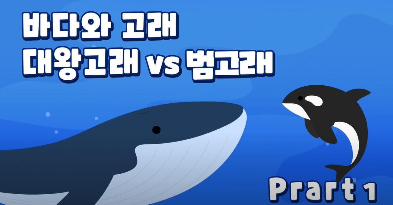 바다와 고래