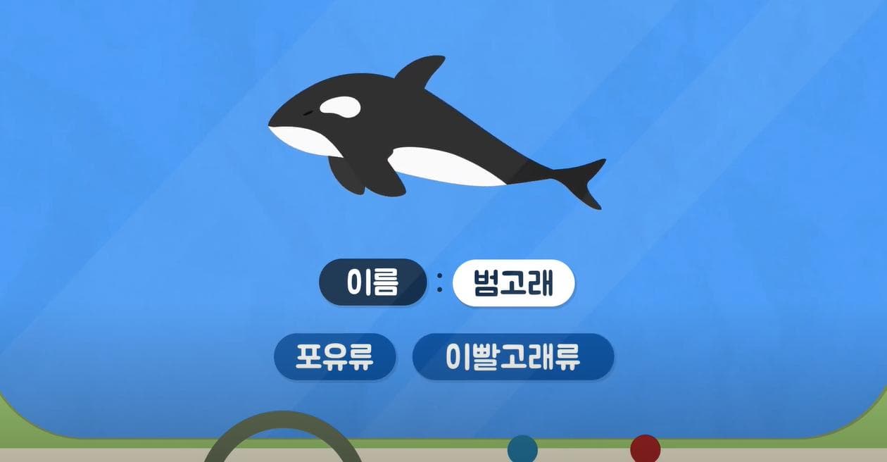 범고래 이야기