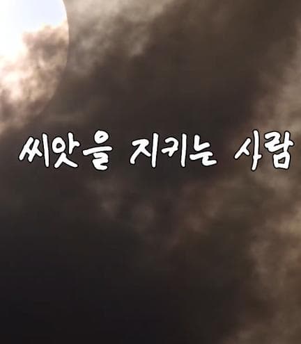 토종씨앗