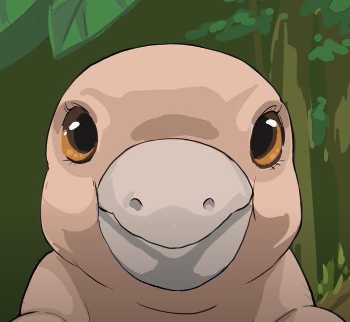 앤키의 모험 1화
