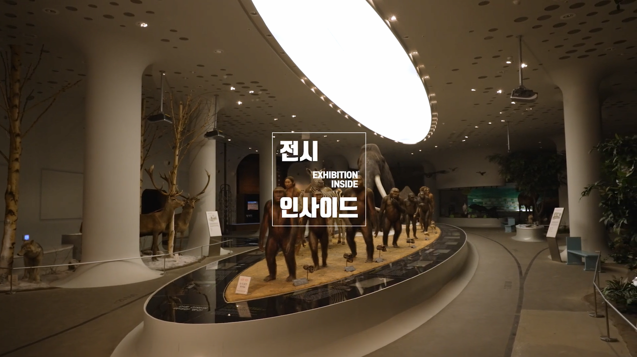 전곡선사박물관《오!구석기》