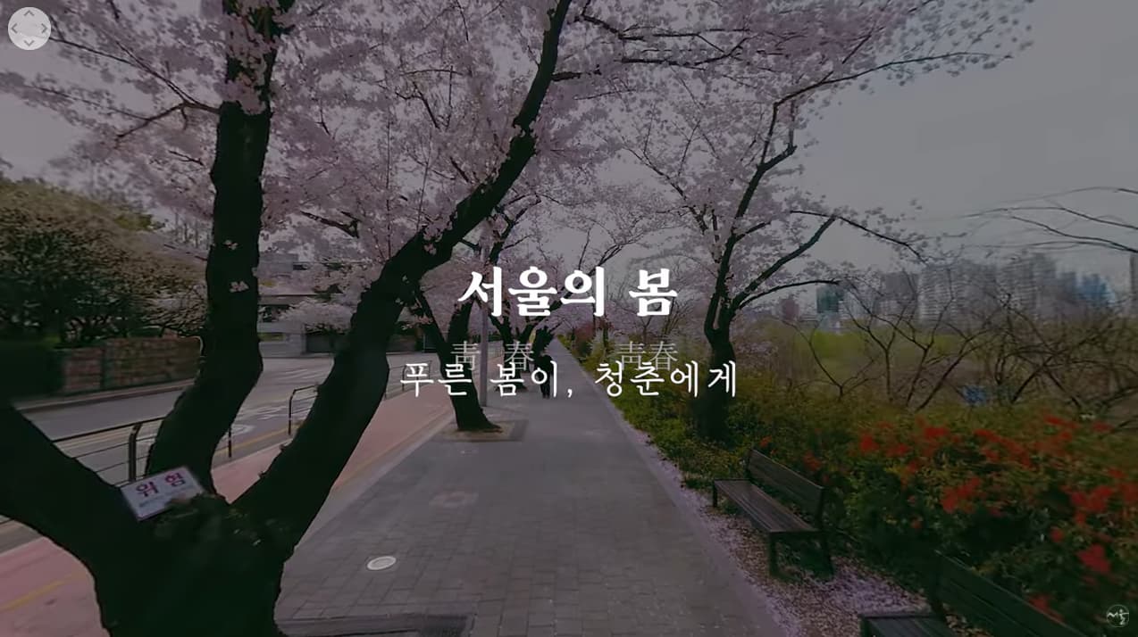벚꽃축제 랜선투어  꽃비가 쏟아지는 서울의 봄 (푸른 봄이, 청춘에게) | Spring day, cherry blossom in Seoul