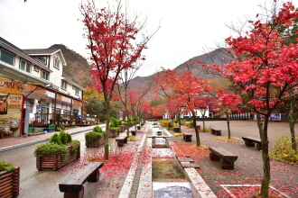 한국문화관광연구원