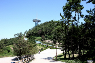 한국문화관광연구원