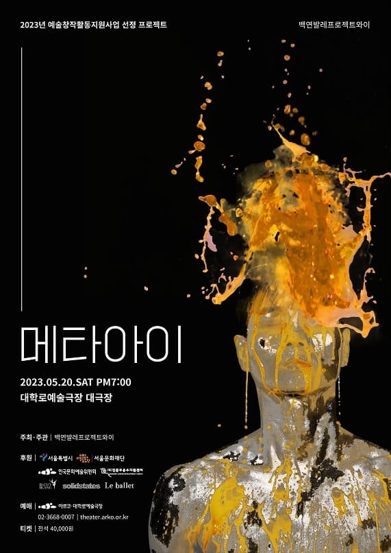 메타아이