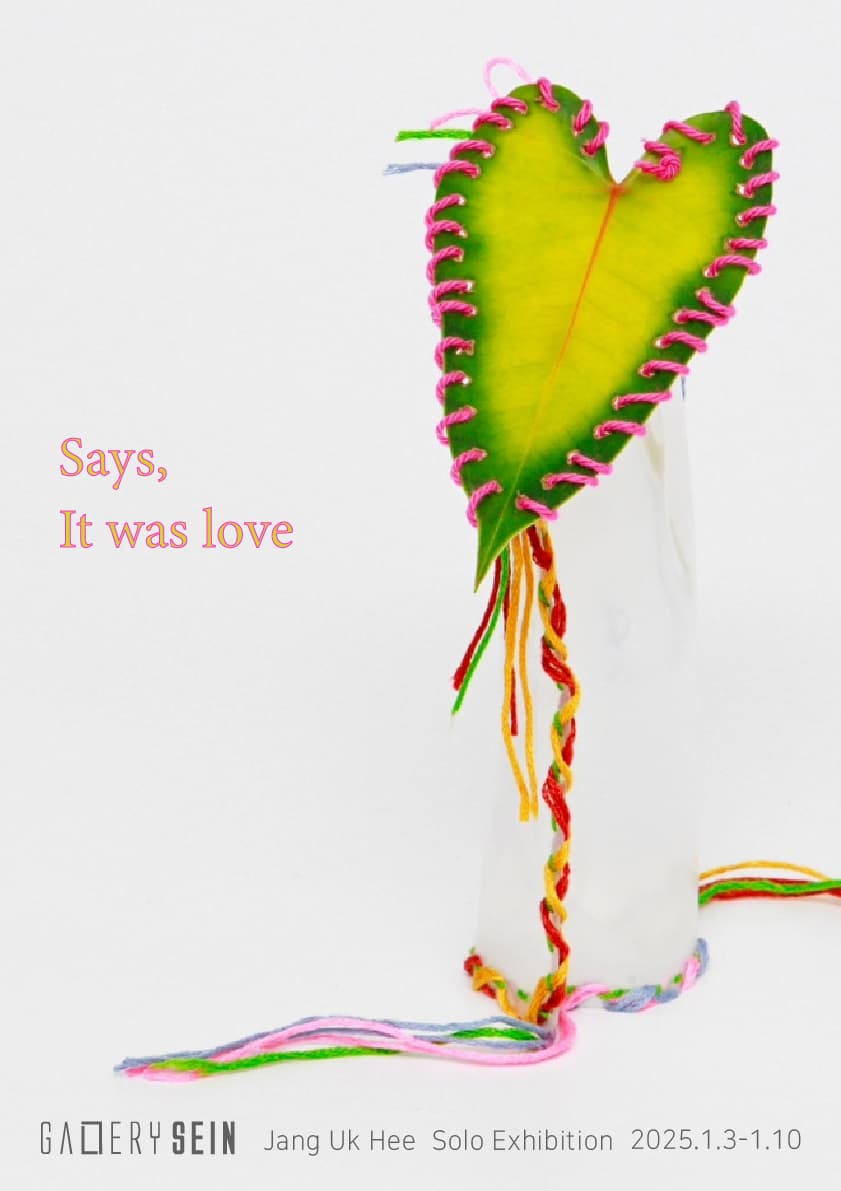 갤러리세인 장욱희 초대전 - Says, It was love | 2025-01-03~2025-01-10 | 갤러리 세인