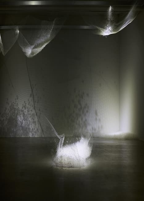 황지해 개인전 <물이 오를 때When the water rises> | 조현화랑 | 2024-12-19 ~ 2025-02-16