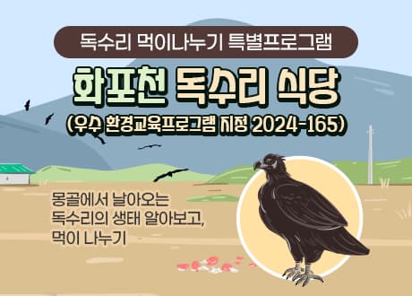독수리 먹이나누기 특별프로그램 | 김해 화포천습지 생태박물관 | 2025-01-02 ~ 2025-01-22